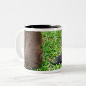 Hintere Ansicht von zwei Dackelhunden Zweifarbige Tasse (Vorderseite Links)