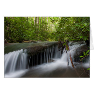 Hintere Falls Card