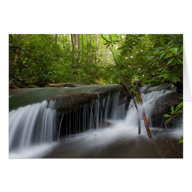 Hintere Falls Card (Vorderseite (Horizontal))