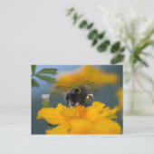 Hintere Postkarte (Stehend Vorderseite)