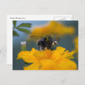 Hintere Postkarte (Vorne/Hinten)