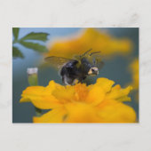 Hintere Postkarte (Vorderseite)