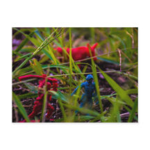 Hintere Postkarte ansehen