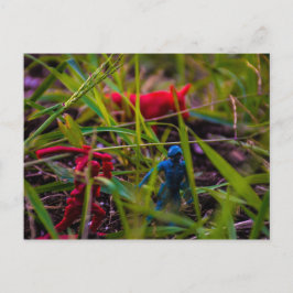 Hintere Postkarte ansehen