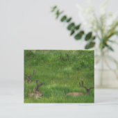 Hintere Postkarte verstecken (Stehend Vorderseite)