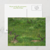 Hintere Postkarte verstecken (Vorne/Hinten)