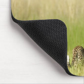 Hintere Sicht auf Leopard (Panthera pardus) und Ku Mousepad (Ecke)