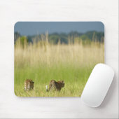 Hintere Sicht auf Leopard (Panthera pardus) und Ku Mousepad (Mit Mouse)