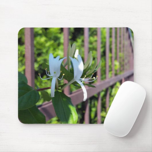 hintereinander mousepad (Mit Mouse)