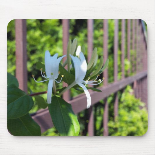 hintereinander mousepad (Vorne)