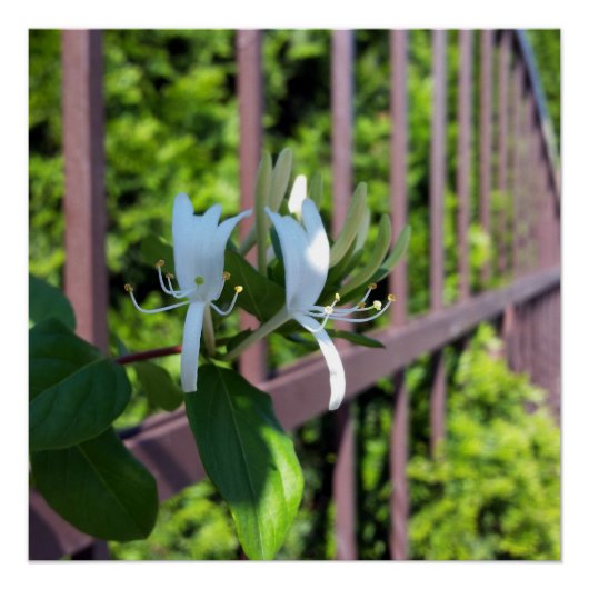 hintereinander poster (Vorderseite)