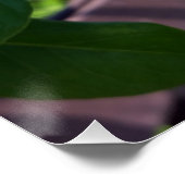 hintereinander poster (Ecke)