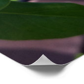 hintereinander poster (Ecke)