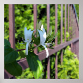 hintereinander poster (Vorne)