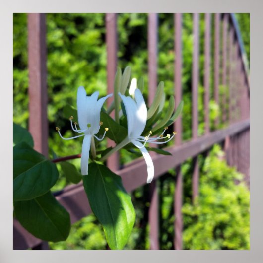 hintereinander poster (Vorne)