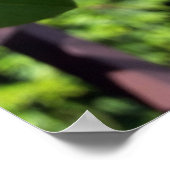 hintereinander poster (Ecke)