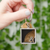 Hinteres Ende des Tigers sitzend auf Plattform Schlüsselanhänger (Hand)