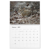 Hinteres Yard-HäschenFotokalender 2019 Kalender (Feb 2027)