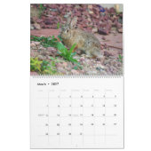 Hinteres Yard-HäschenFotokalender 2019 Kalender (Mär 2027)