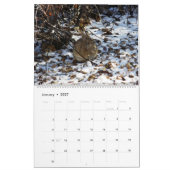 Hinteres Yard-HäschenFotokalender 2019 Kalender (Jan 2027)