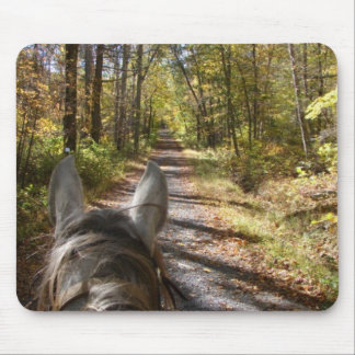 Hinterfahrt Mousepad