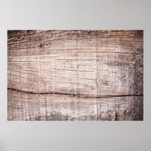 Hintergrund aus Holz, Baumstamm, Hintergrund, Stie Poster