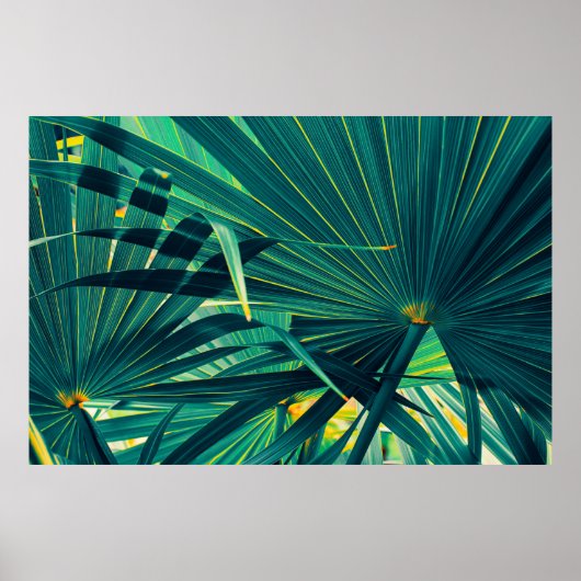 Hintergrund aus tropischen Palmenblättern, Streife Poster (Vorne)