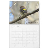 Hintergrund Birds - Ausgabe 2 Kalender (Jan 2027)