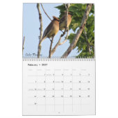 Hintergrund Birds - Ausgabe 2 Kalender (Feb 2027)