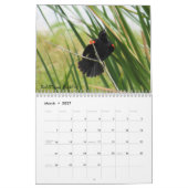Hintergrund Birds - Ausgabe 2 Kalender (Mär 2027)