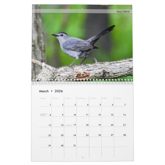 Hintergrund Birnen Kalender 5. (Mär 2026)