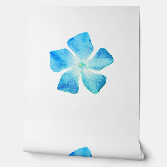 Hintergrund-Blume Tapete (Abrollen)