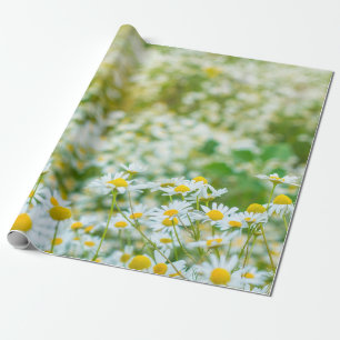 Hintergrund der Blume der Molkereien. Alternative Geschenkpapier