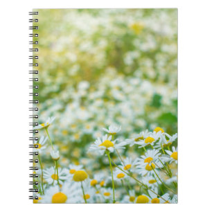 Hintergrund der Blume der Molkereien. Alternative Notizblock