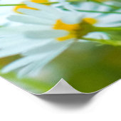 Hintergrund der Blume der Molkereien. Alternative Poster (Ecke)