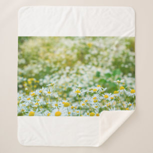 Hintergrund der Blume der Molkereien. Alternative Sherpadecke