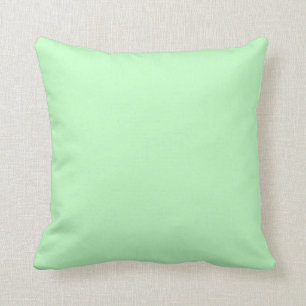 Hintergrund der Farbe von Eggshell Blue Green Past Kissen