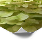 Hintergrund der Hydrangea-Blume Poster (Ecke)