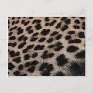 Hintergrund der Leopard-Printwerbung Postkarte