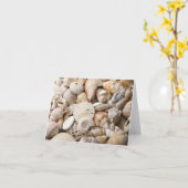 Hintergrund der Muschel Florida Meer - Muscheln am Karte (Gelbe Blume)