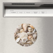 Hintergrund der Muschel Florida Meer - Muscheln am Magnet (In Situ (Geschirrspüler))