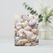 Hintergrund der Muschel Florida Meer - Muscheln am Postkarte (Stehend Vorderseite)