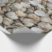 Hintergrund der Muscheln Geschenkpapier (Ecke)