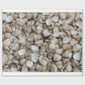 Hintergrund der Muscheln Geschenkpapier (Flach)
