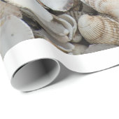 Hintergrund der Muscheln Geschenkpapier (Rolleneckpunkt)