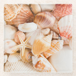 Hintergrund der Muscheln: Meeresthema. Glasuntersetzer