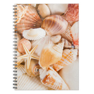 Hintergrund der Muscheln: Meeresthema. Notizblock