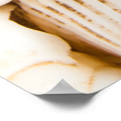 Hintergrund der Muscheln: Meeresthema. Poster (Ecke)