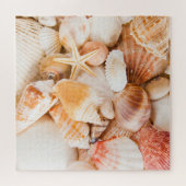 Hintergrund der Muscheln: Meeresthema. Puzzle (Horizontal)