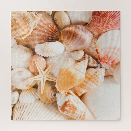 Hintergrund der Muscheln: Meeresthema. Puzzle (Vertikal)